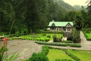 Cottage and gardens at Annadale amid green mountains